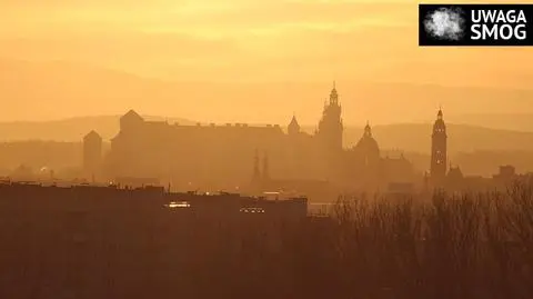 Darmowa komunikacja dla kierowców w Krakowie. Winny smog