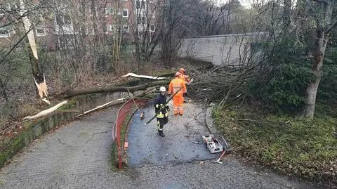 Odwołane rejsy samolotów i ostatkowe parady. Wichury nad Europą