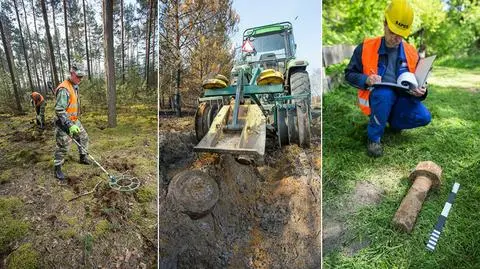 Polska "odzyskuje" tereny użytkowe. Coraz mniej niewybuchów w lasach