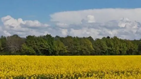 Prognoza pogody na dziś: słonecznie w większości regionów