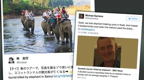 Słoń miał dość. Zabił szkockiego turystę