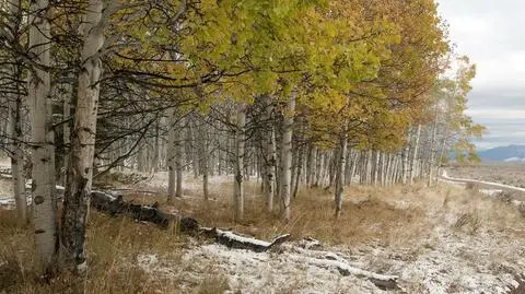 Śnieg przykrył północno-wschodnią Polskę