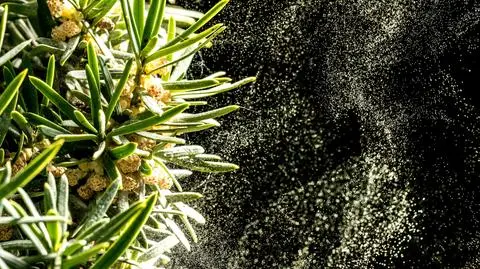 Drapanie w gardle, obrzęk języka, duszność. Nie lekceważ tych objawów