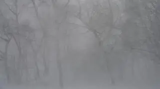 Śnieżyce i wiatr paraliżują północne Czechy