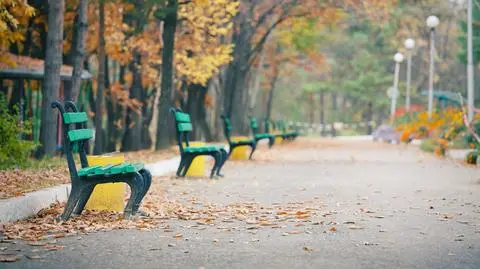 W całym kraju może się chmurzyć, na południu popada