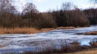 Słoneczny dzień w Myślęcinku koło Bydgoszczy