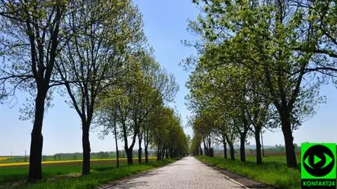 Kierowcom przydadzą się okulary przeciwsłoneczne