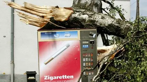 Burze z gradem demolują niemieckie miasta i lasy