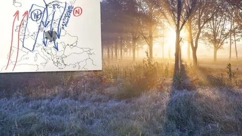 Pojawią się przymrozki