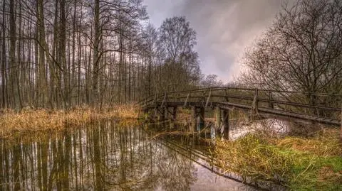 "Absolutnie u nas nie widać zimy". Co więcej - wiosna może przyjść w lutym