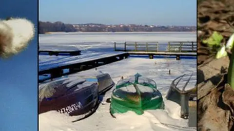 Dużo słońca i zapach wiosny. Zima ustępuje