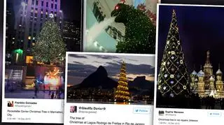 Najpiękniejsze choinki świata