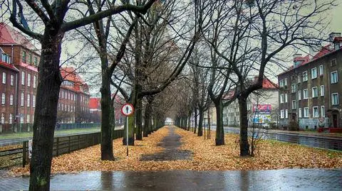 Pochmurny dzień