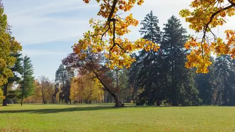 Temperatura będzie wyrównana, ale lepiej wziąć coś ciepłego