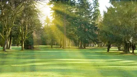 Prognoza pogody na dziś: pogodnie i ciepło