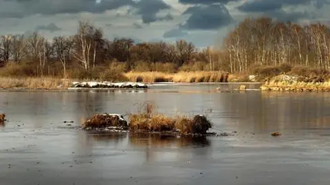 Mokro, ale cieplej. W dzień nawet 8 st. C 