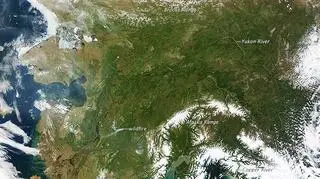 Wyjątkowo bezchmurna Alaska (NASA/Jeff Schmaltz, LANCE MODIS Rapid Response Team at NASA GSFC)