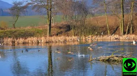 W weekend w całym kraju zaświeci słońce