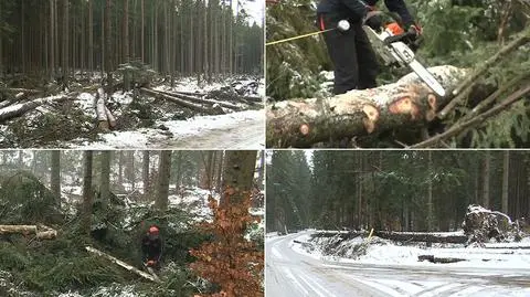 "Zniszczenia są ogromne". Szkody trzeba będzie usuwać przez rok