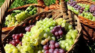 Polacy też świętują winobranie