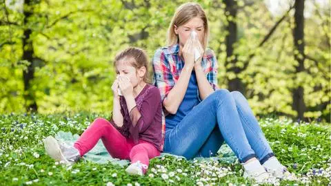 W kwietniu mamy wysokie stężenie pyłków brzozy