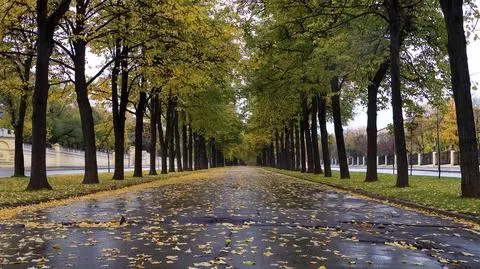 Będzie pochmurno i dość mokro