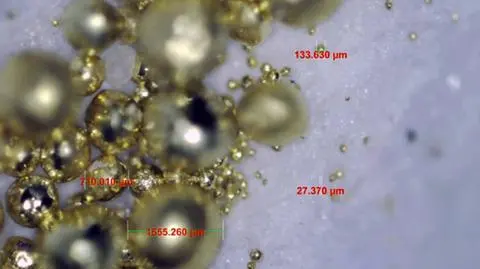 Bakterie zmieniły toksyny w złoto. "To alchemia bakteryjna"