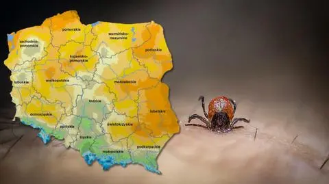 Susza może redukować populacje kleszczy