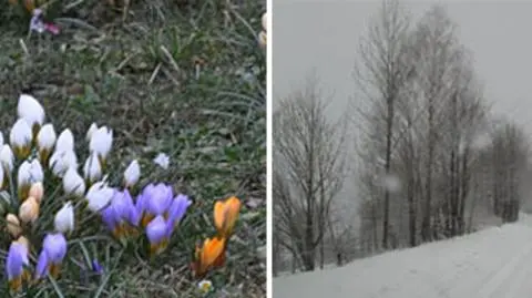 Zmienna, marcowa pogoda