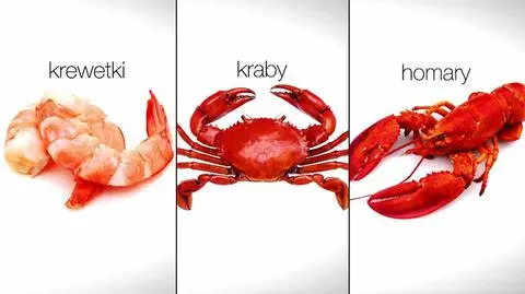 Ile kalorii mają skorupiaki?
