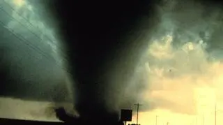 Tornado, jakie przeszło w 2 czerwca 1995 roku przez miejscowość Dimmitt, na południu Teksasu 