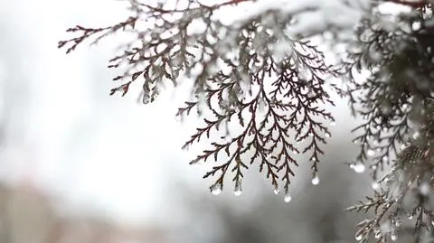 Popada deszcz i deszcz ze śniegiem