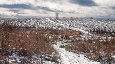 Prognoza pogody na dziś: śnieg spadnie na wschodzie i południu kraju
