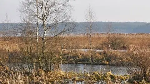 Temperatury w dzień będą dodatnie