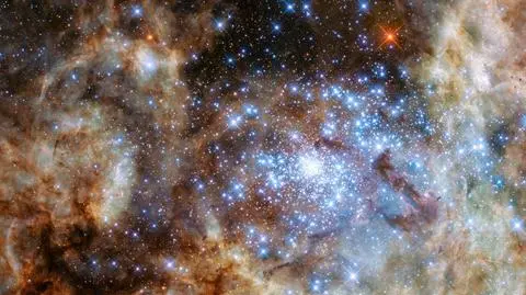 Dziewięć gwiazd "potworów". Są blisko wybuchu