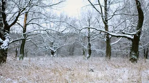 Czekają nas opady deszczu, deszczu ze śniegiem