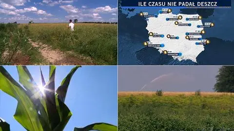 W Polsce panuje susza