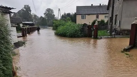 "To był prawdziwy armagedon". Podtopienia po ulewach na Opolszczyźnie