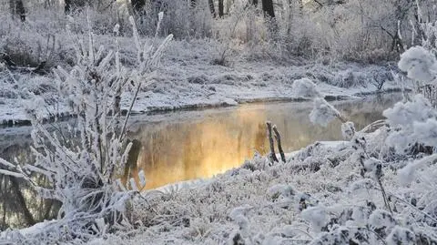 W najbliższych dniach wróci mróz