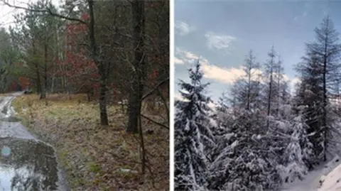 Polska baśniowo-śnieżna, ale i błotnista. Środa na zdjęciach Reporterów 24