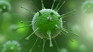 Naukowiec z Japonii, który pracuje w USA wyhodował wirusa grypy, który jest odporny na atak naszego układu immunologicznego. Yoshihirio Kawaoka, wirusolog z Uniwersytetu Wisconsin - Madison, zmodyfikował jedno z białek (2009H1N1) wirusa grypy, powodując jego odporność na nasz mechanizm obronny.   