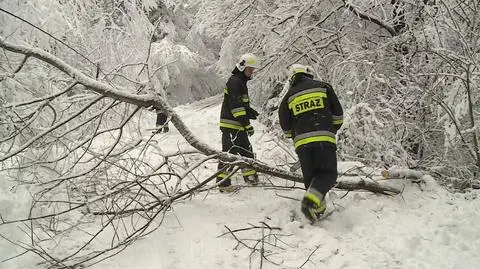 Pod naporem śniegu łamią się gałęzie. "Mogą spadać na osoby, które przechodzą"
