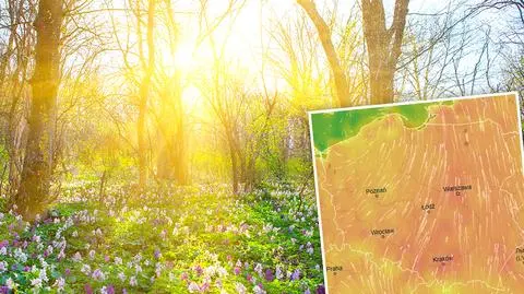 Wiosna zostanie i po weekendzie