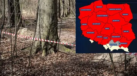 Jeszcze jeden powód, by nie wchodzić do lasu