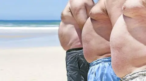 Pobrać bakterie kałowe od chudych, przeszczepić je grubym. Obiecujący sposób na walkę z nadwagą