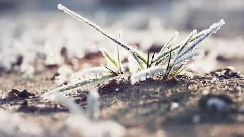 Śnieg spadnie na Suwalsczyźnie