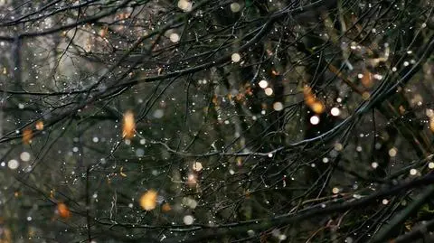 Prognoza pogody na dziś: ciepło, ale miejscami przelotny deszcz