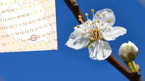 Wiosenne prognozy na początek marca
