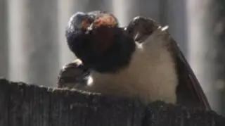 Jak przyjemnie na słoneczku