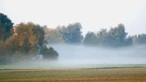 Mgły nad ranem